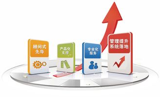 2019金慧軟件老客戶業(yè)務(wù)培訓(xùn)周如火如荼地開(kāi)展，助力信息咨詢服務(wù)升級(jí)